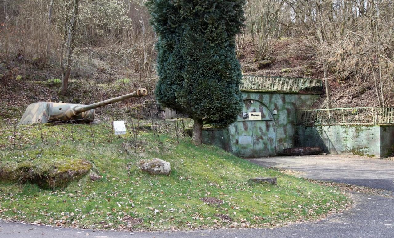 Fewo Pfaelzer Felsenlandschaft Pirmasens Eksteriør bilde